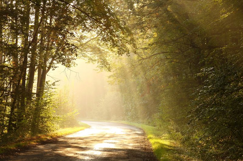 File:Sun-Equinox-East-Sunrise.jpg